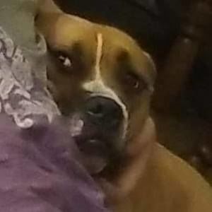 Meet your Posher, Leigha